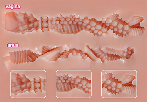 A picture of the texture and folds inside the doll's vaginal and anal passages.