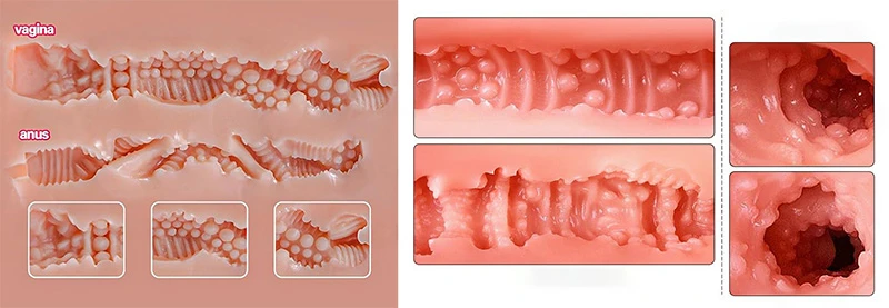 Detailed pictures of the sex doll's internal cavities and channels.