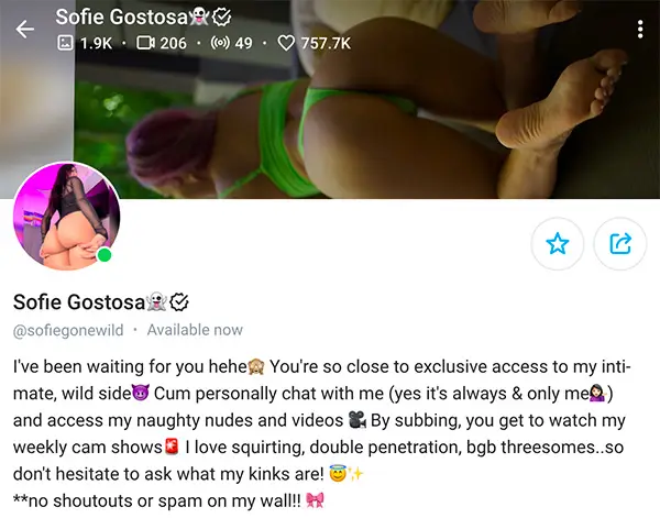 The Onlyfans page of Sofie Gostosa.